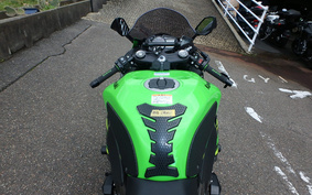 KAWASAKI NINJA ZX-6R 2019 ZX636G