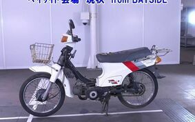 KAWASAKI MAX AX100