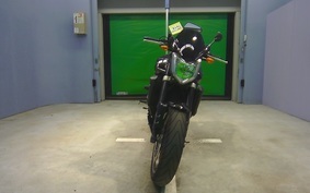 YAMAHA FZ FAZER 2009 RN21J