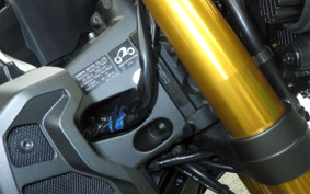 YAMAHA MT-09 ASP 2021 RN52J