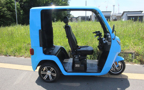 OTHER EV TUKTUK