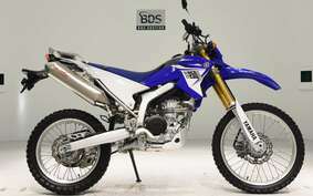 YAMAHA WR250R DG15J