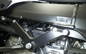 SUZUKI DL650 ( V-Strom 650 ) 2023 C733M