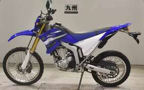 YAMAHA WR250R DG15J