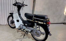 HONDA C100 SUPER CUB HA06