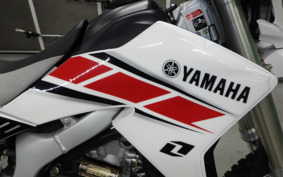 YAMAHA WR250R DG15J