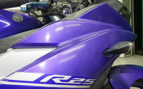 YAMAHA YZF-R25 A RG10J