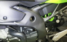 KAWASAKI ZX-4RR 2024 ZX400P