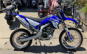 YAMAHA WR250R DG15J