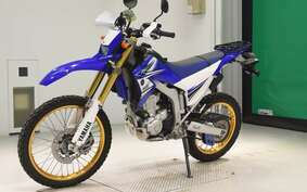 YAMAHA WR250R DG15J