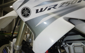 YAMAHA WR250R DG15J