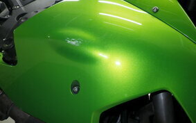 KAWASAKI ZX 1400 NINJA 2010 ZXNC13