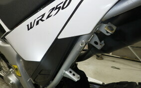 YAMAHA WR250R DG15J