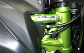 KAWASAKI Z900 Gen.2 2021 ZR900B