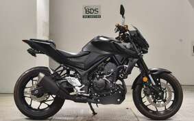 YAMAHA MT-25 A RG74J