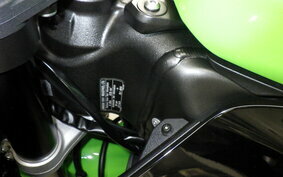 KAWASAKI NINJA ZX-6R A 2020 ZX636G