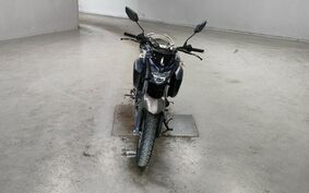 YAMAHA FZ25 不明