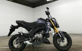 KAWASAKI Z125 PRO BR125H