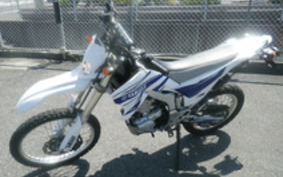 YAMAHA WR250R DG15J