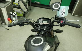 KAWASAKI Z125 PRO BR125H