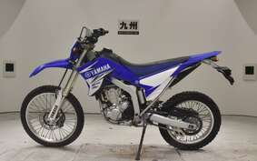 YAMAHA WR250R DG15J