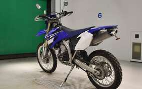 YAMAHA WR450F 2009 CJ13