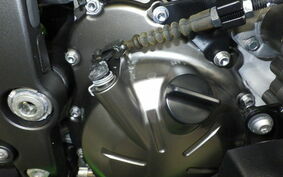 KAWASAKI NINJA ZX-6R A 2020 ZX636G