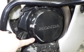 HONDA TRANSALP 600V 1987 PD06