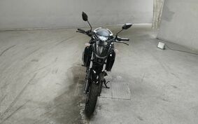 YAMAHA FZ25 不明