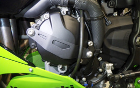 KAWASAKI NINJA ZX-6R A 2024 ZX636J