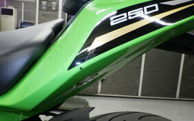 KAWASAKI ZX-25R ZX250E