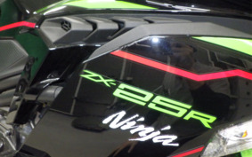 KAWASAKI ZX-25R ZX250E