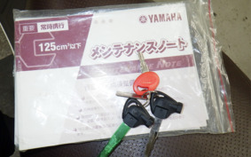 YAMAHA CYGNUS 125 X 2 SE44J