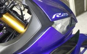 YAMAHA YZF-R25 RG43J