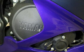 YAMAHA YZF-R15 RG67