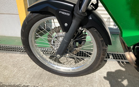 KAWASAKI VERSYS-X 250 ABS LE250D