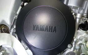 YAMAHA WR250R DG15J