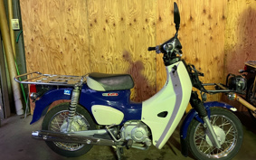 HONDA C110 SUPER CUB PRO JA42