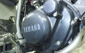 YAMAHA TW200 Gen.2 DG07J