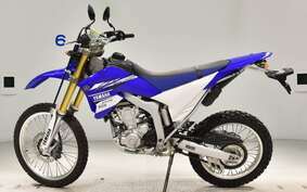 YAMAHA WR250R DG15J