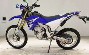 YAMAHA WR250R DG15J