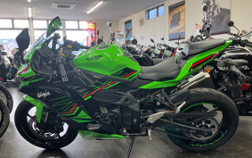 KAWASAKI ZX-4RR 2024