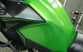 KAWASAKI VERSYS 250 A LE250D