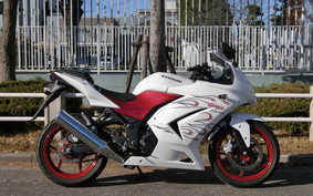 KAWASAKI NINJA 250R SPECIAL EDITION 2009 EX250K