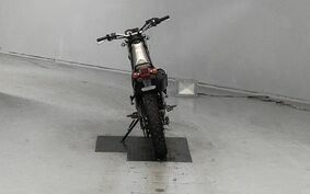 YAMAHA TRICKER DG10J