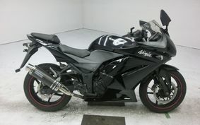 KAWASAKI NINJA 250R 2009 EX250K