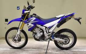 YAMAHA WR250R DG15J