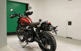 TRIUMPH SCRAMBLER1200X 2023