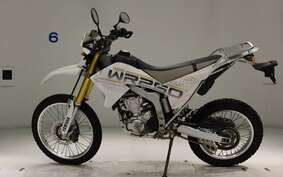 YAMAHA WR250R DG15J