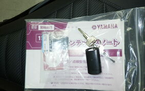 YAMAHA N-MAX SEG6J